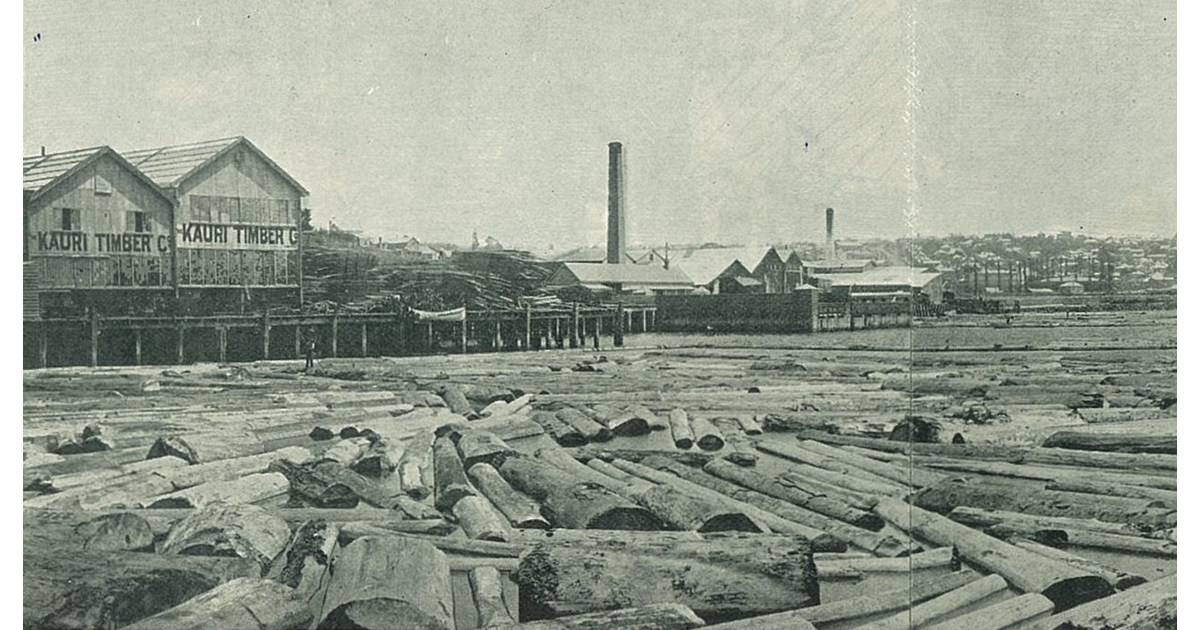 Timber Industry / Photography Historical MAD on New Zealand